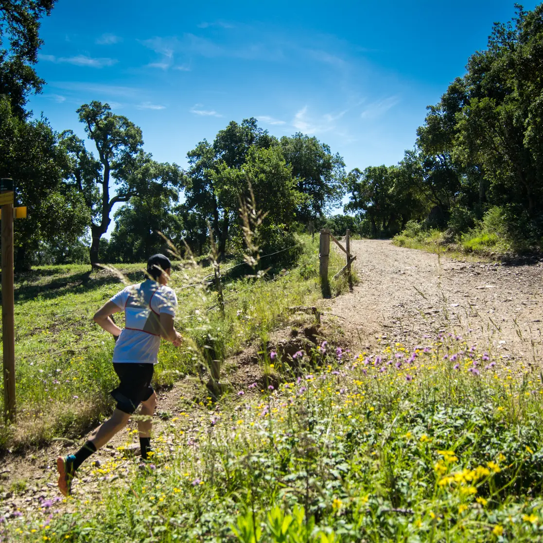 trail-valmy-argeles-S.Ferrer (9)
