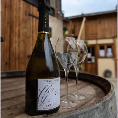 champagne-gaston-collard-bouzy-degustation