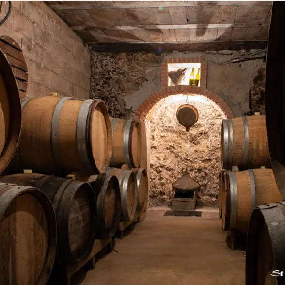 champagne-gaston-collard-bouzy-cuverie