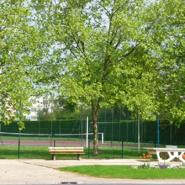 Camping-de-Chalons-table-de-ping-pong