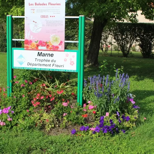 Coolus(3)©Christian Ferrand