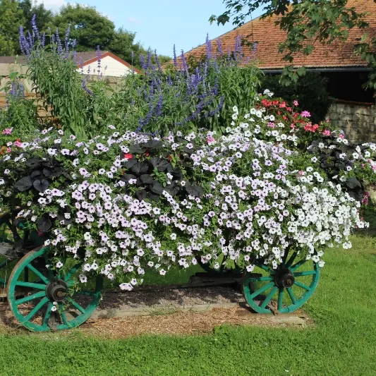 Coolus(4)©Christian Ferrand