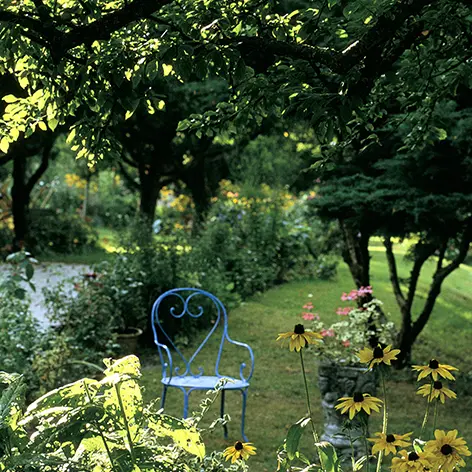 Jardin Saint Hippolyte - Livry Louvercy