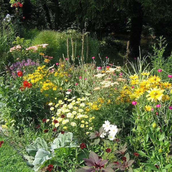 Jardin Saint Hippolyte 2