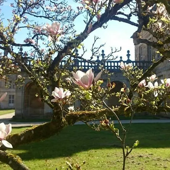 Abbaye de Trois Fontaines