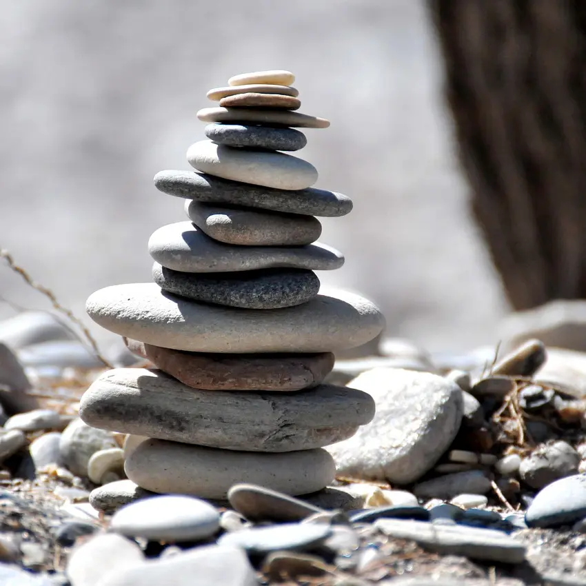 Photo non contractuelle