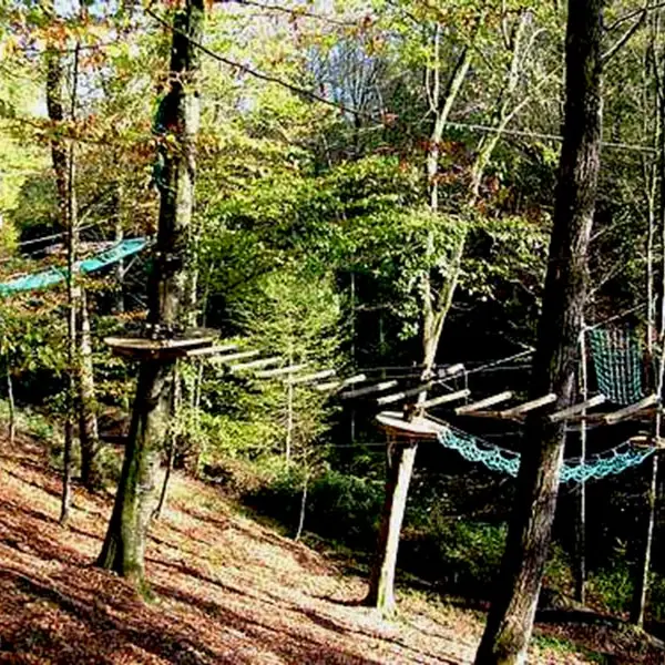 Argonne aventure - Sainte-Ménehould