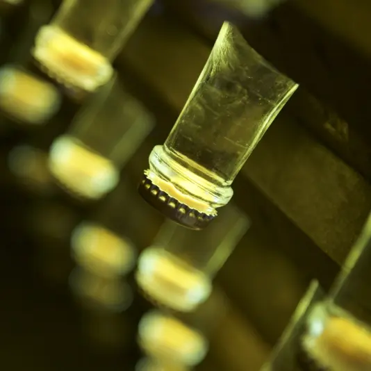 champagne-mouzon-verzenay-bouteille