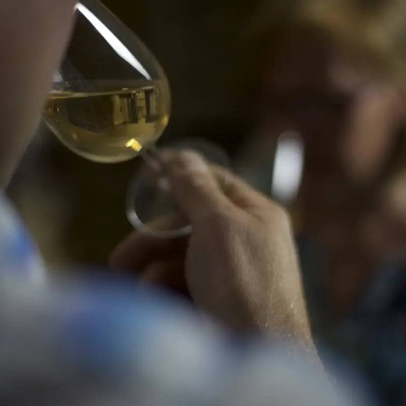 champagne-mouzon-verzenay-degustation