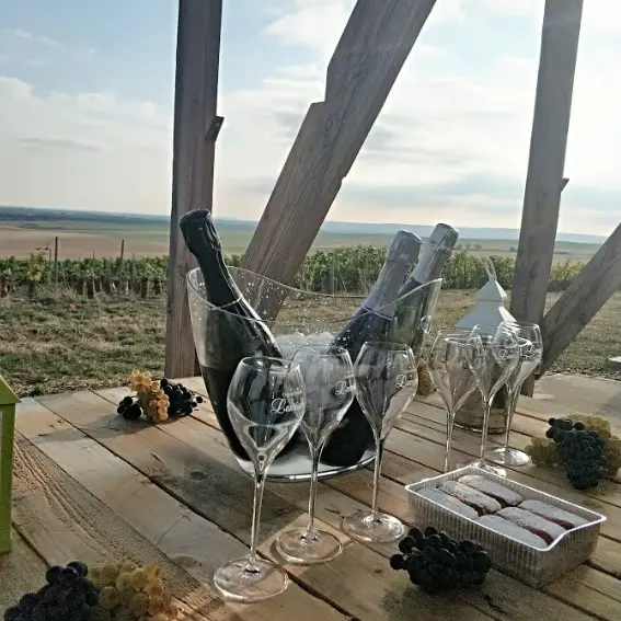 degustation-loge-de-vigne-chalons-3