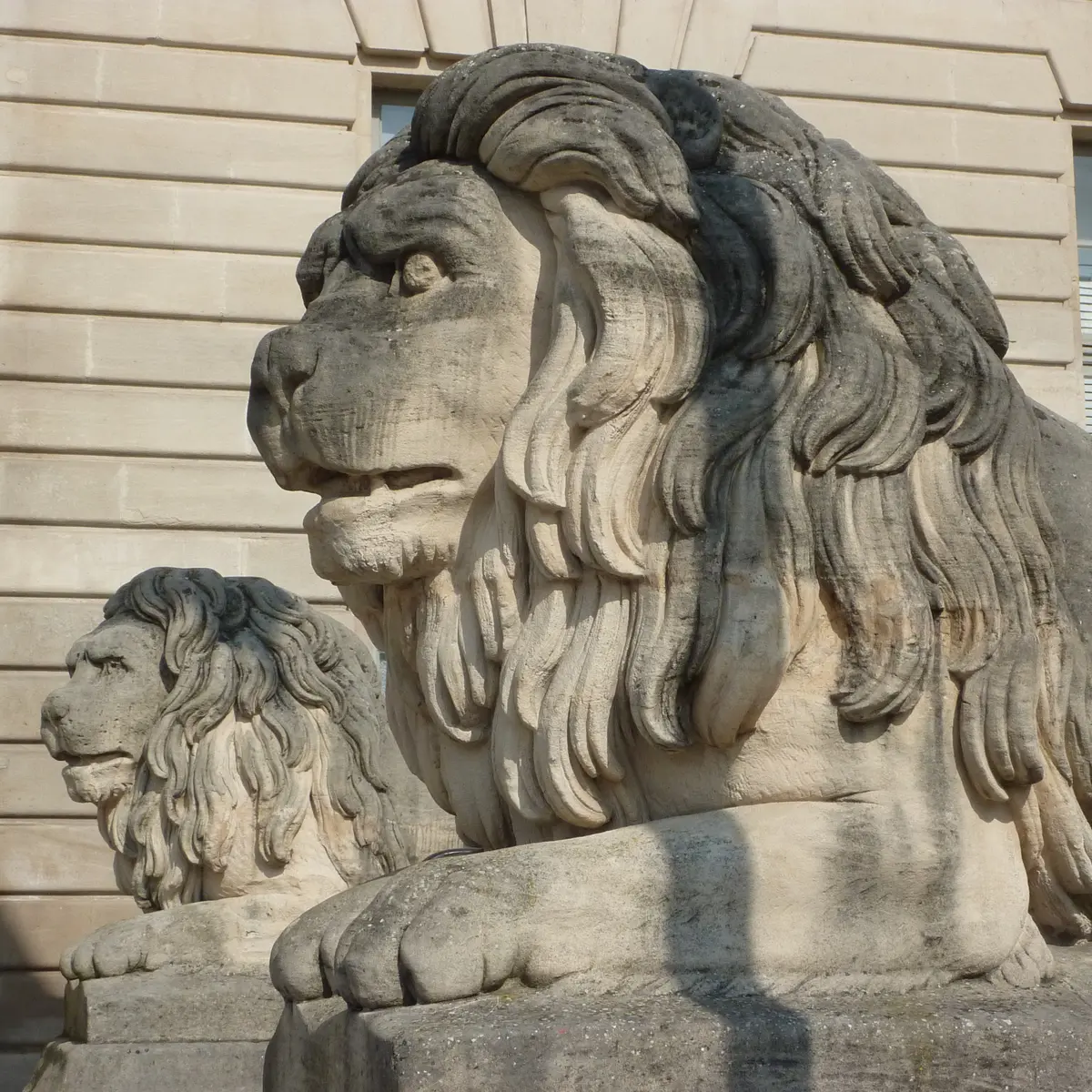 hotel-de-ville-chalons-en-champagne-lions