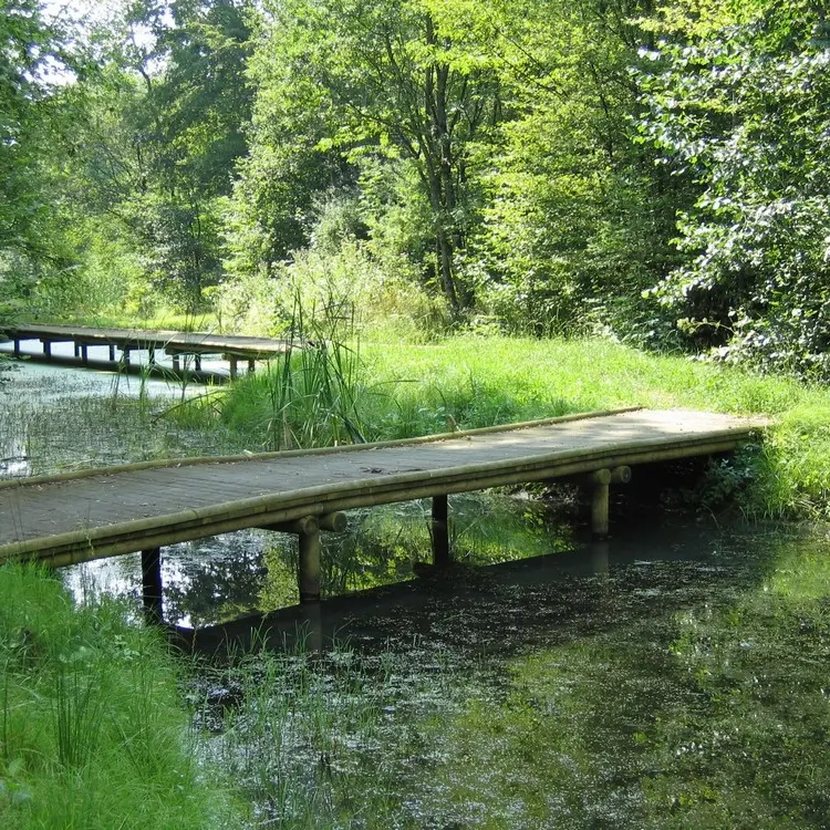 Val de Serre < Grandrieux < Thiérache < Aisne < Picardie < Hauts de France