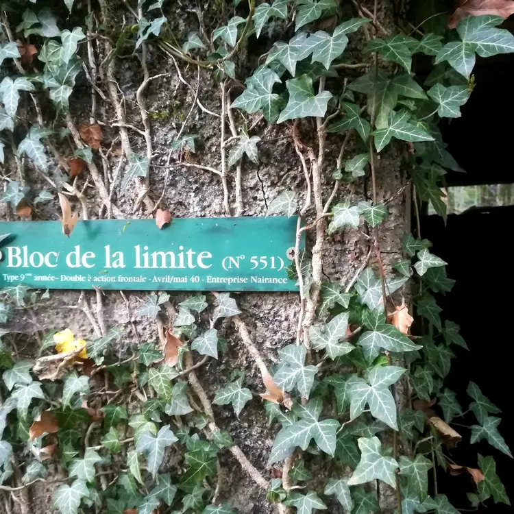 Blockhaus-de-l-etoile-2