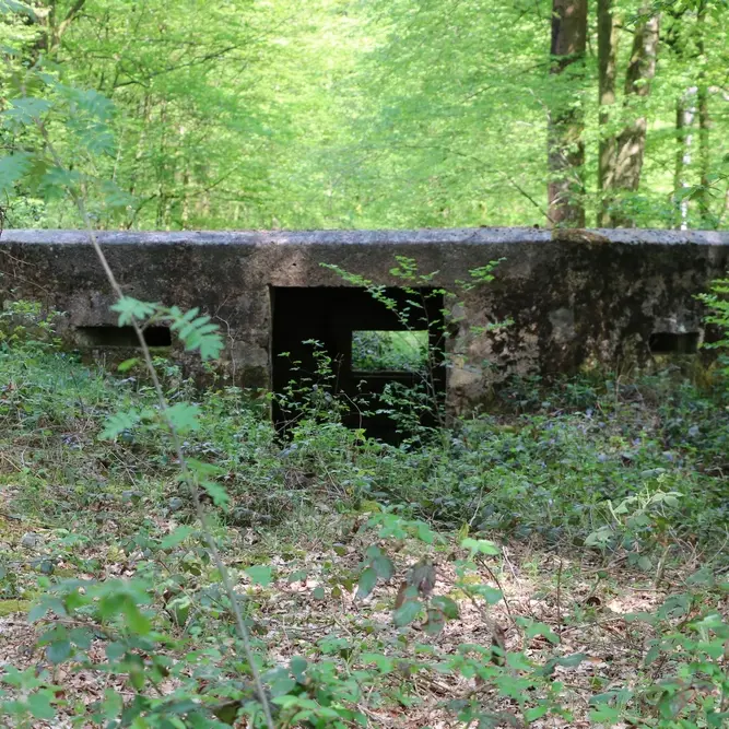 Blockhaus-de-l-etoile-3