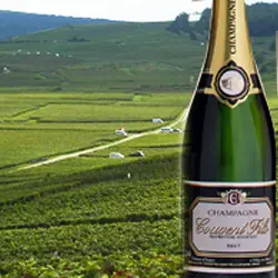 Champagne Couvent Fils_bouteille < Trelou-sur-Marne < Aisne < Picardie