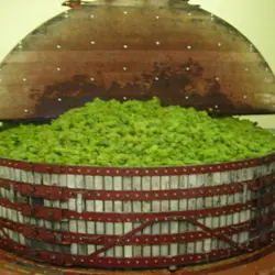 Champagne Couvent Fils_pressoir < Trelou-sur-Marne < Aisne < Picardie