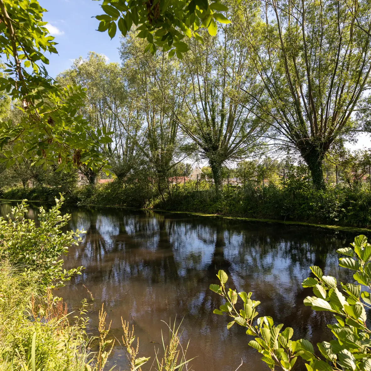 Fresnes-sur-Escaut-parc-Joliot-Curie-OTCVM©claude.waeghemackerHD-41