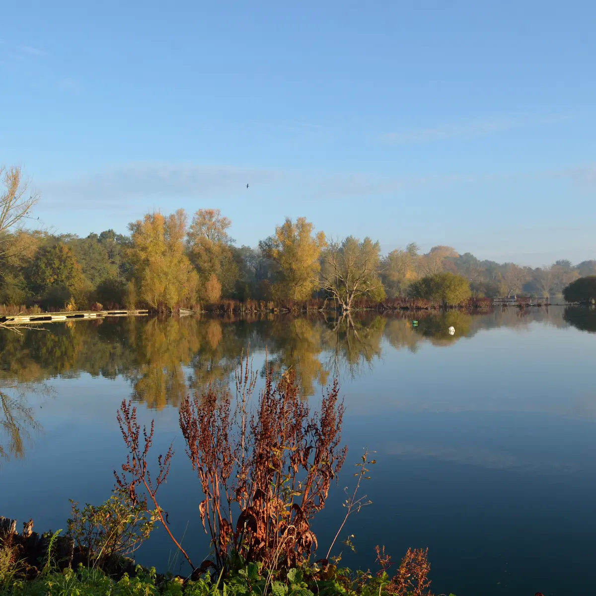 TSC/SCENESDUNORD - etang d'amaury - hergnies
