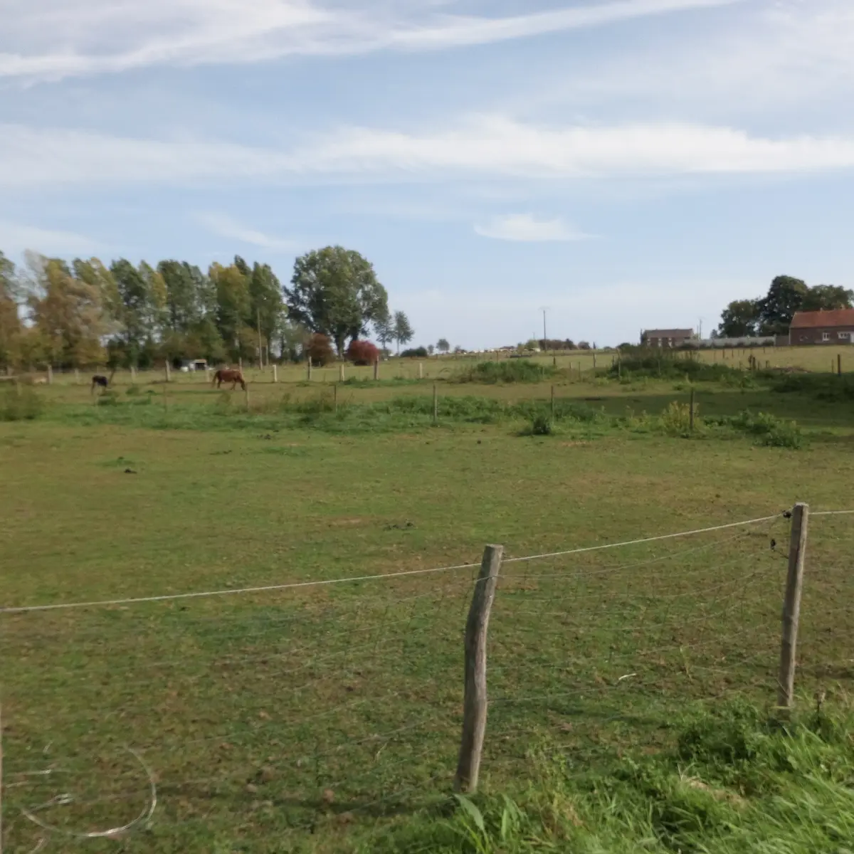 Hergnies-pature et chevaux©OTCVM