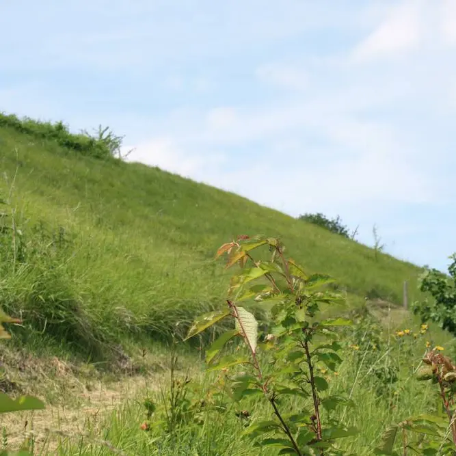 Falaise < Tupigny < Aisne < Picardie