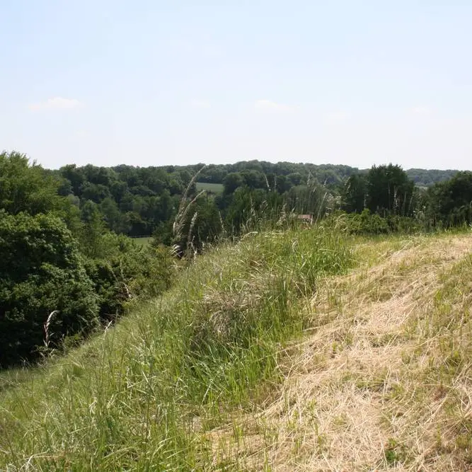 Falaise < Tupigny < Aisne < Picardie