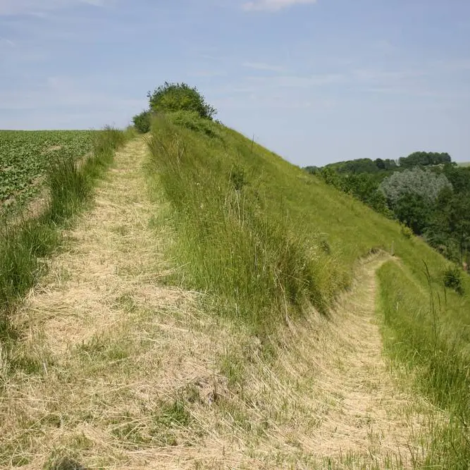 Falaise < Tupigny < Aisne < Picardie