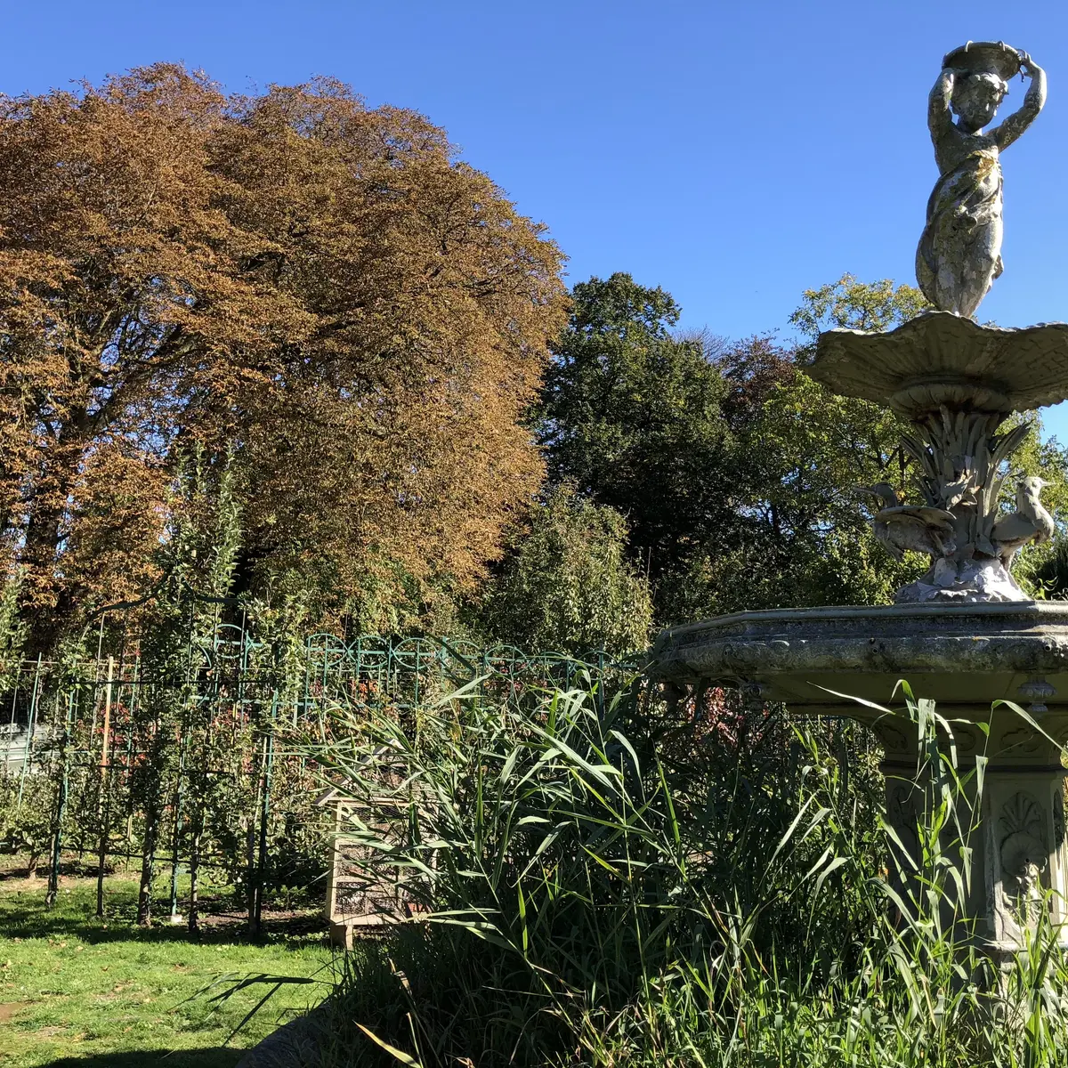 Jardin arboriculture fruitiere © Bénédicte Douchet (1)