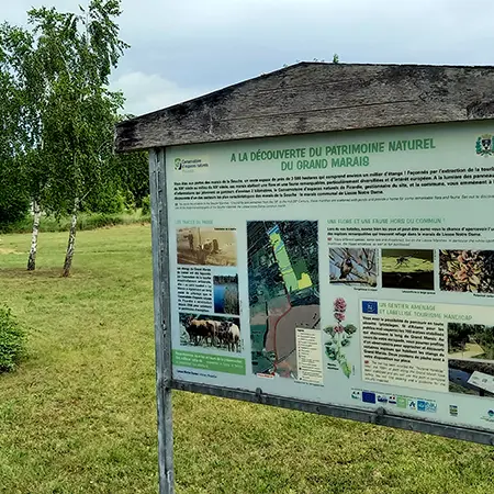 Grand Marais 2021 I < Liesse-Notre-Dame < Aisne < Picardie