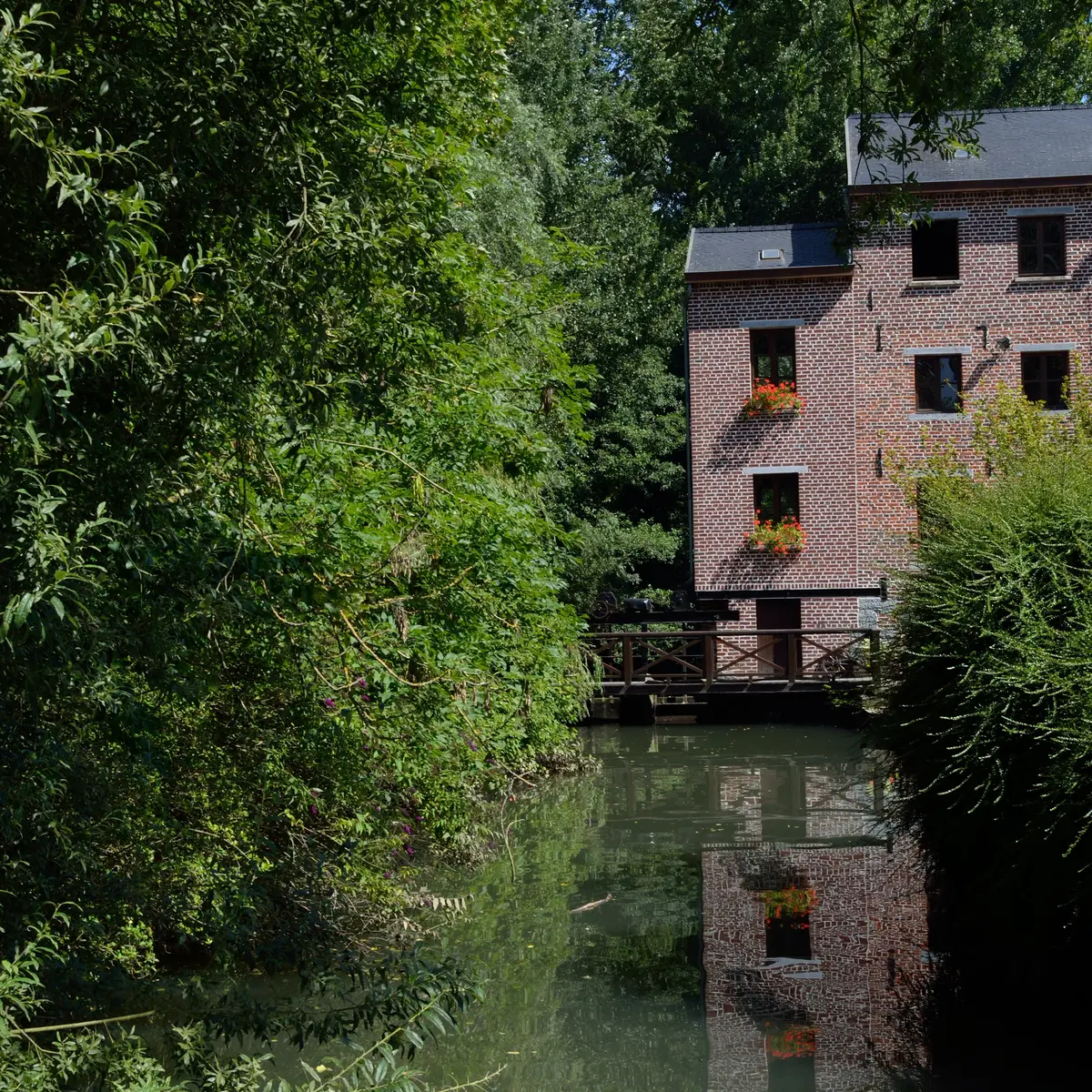 Moulin de Sebourg / Scenes du nord