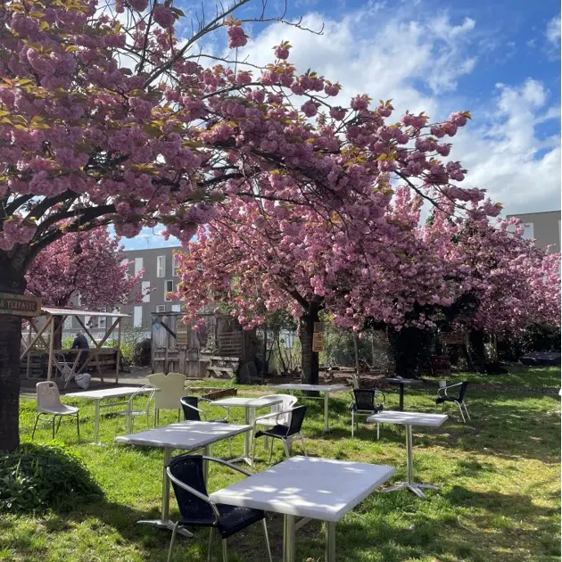 cooperative baraka terrasse