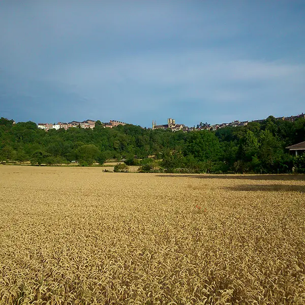 Cuve Saint-Vincent VI < Laon < Aisne < Picardie