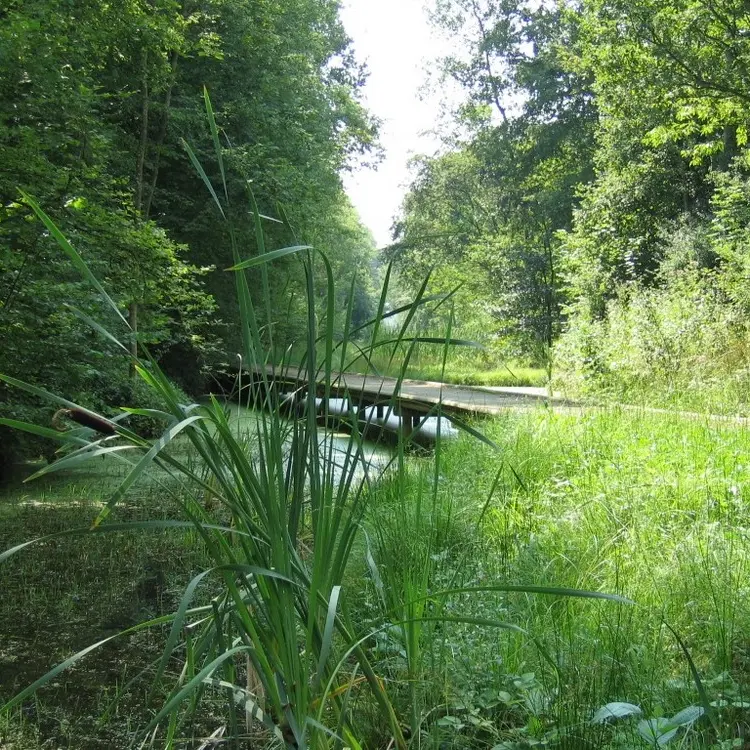 Val de Serre < Grandrieux < Thiérache < Aisne < Picardie < Hauts de France