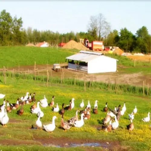 Ferme Batis 2016