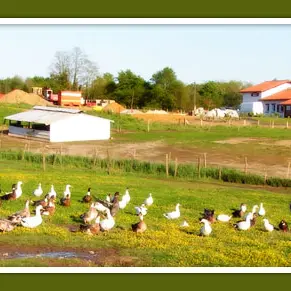 Ferme Batis 2016