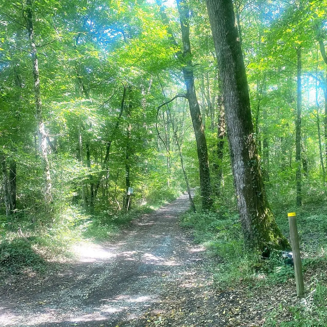 CORNILLE-Boucle des étangs-Chemin-Poteau