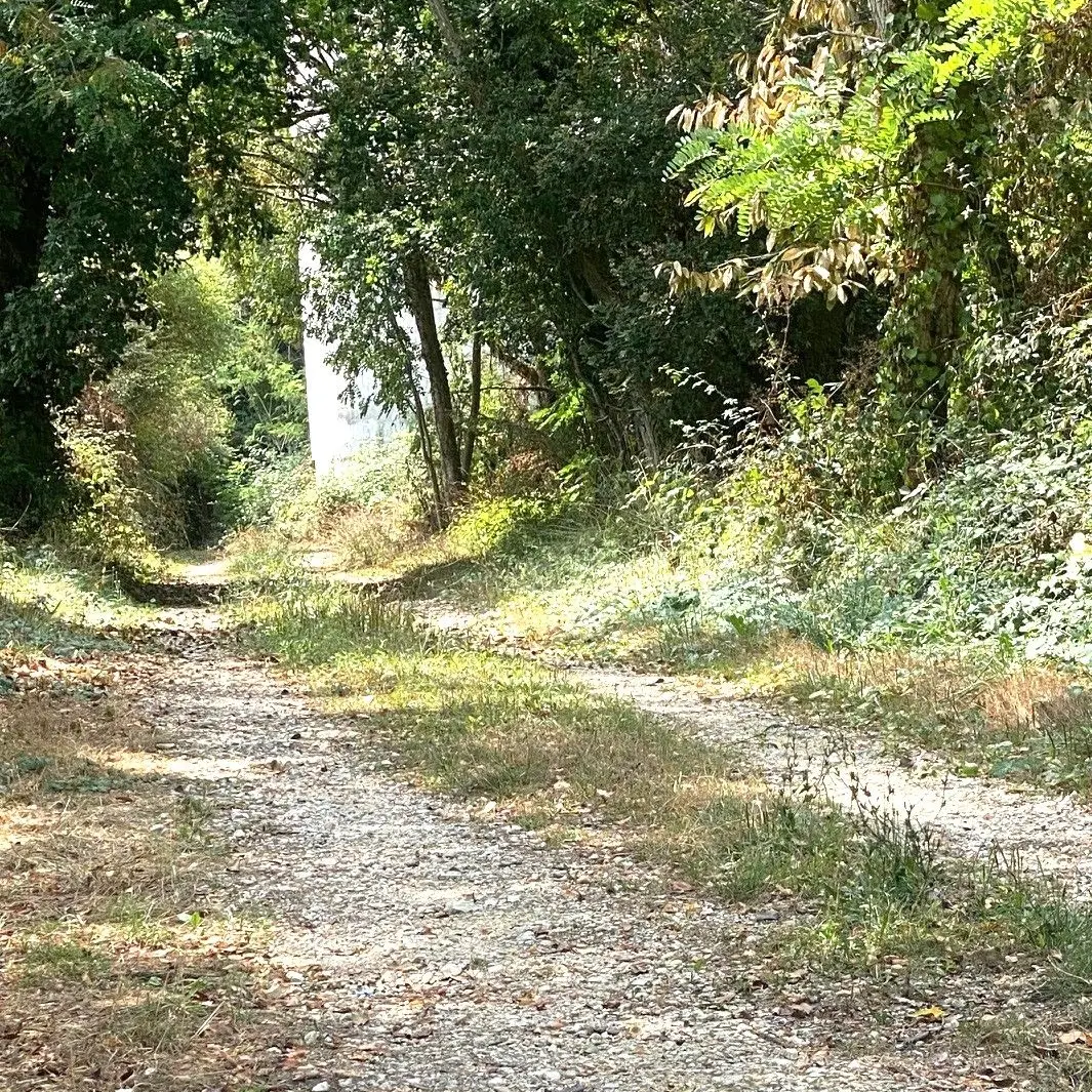 CHALAGNAC-Boucle du Bas Combin-Chemin