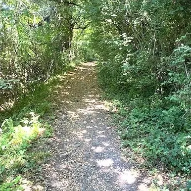 CHAMPCEVINEL-Boucle de Chantecoucou-Chemin