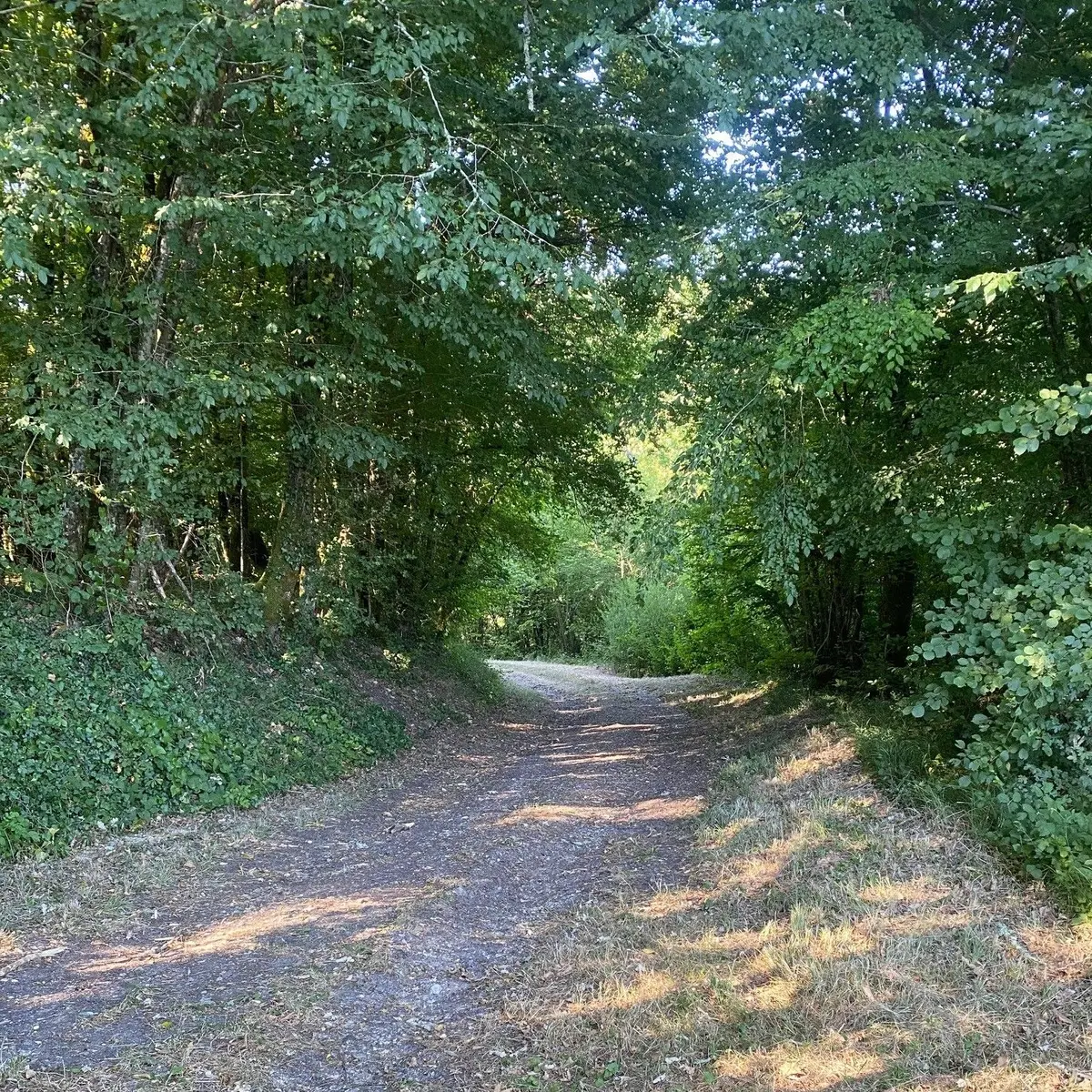 BASSILLAC-Boucle des Bruges-Chemin