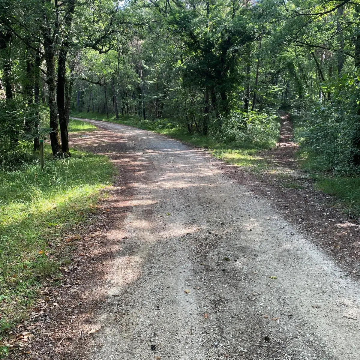 Boucle du château Escoire