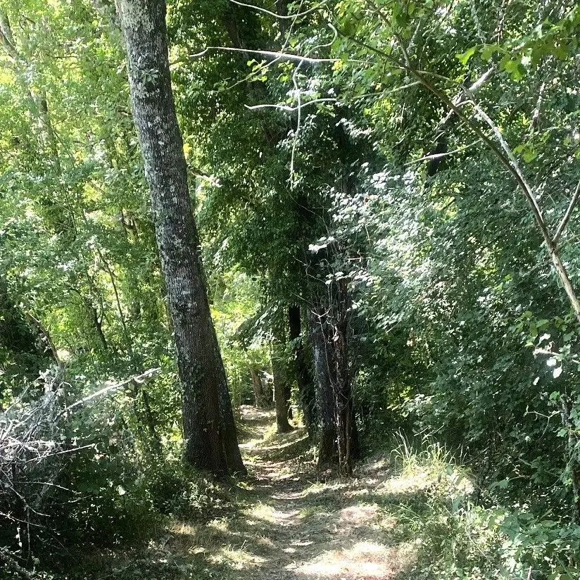 Blis et Born-Boucle des Eperliches-Chemin