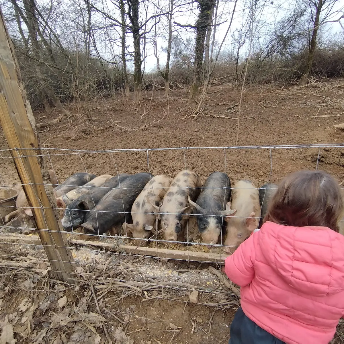 Ferme de Montardy Aby