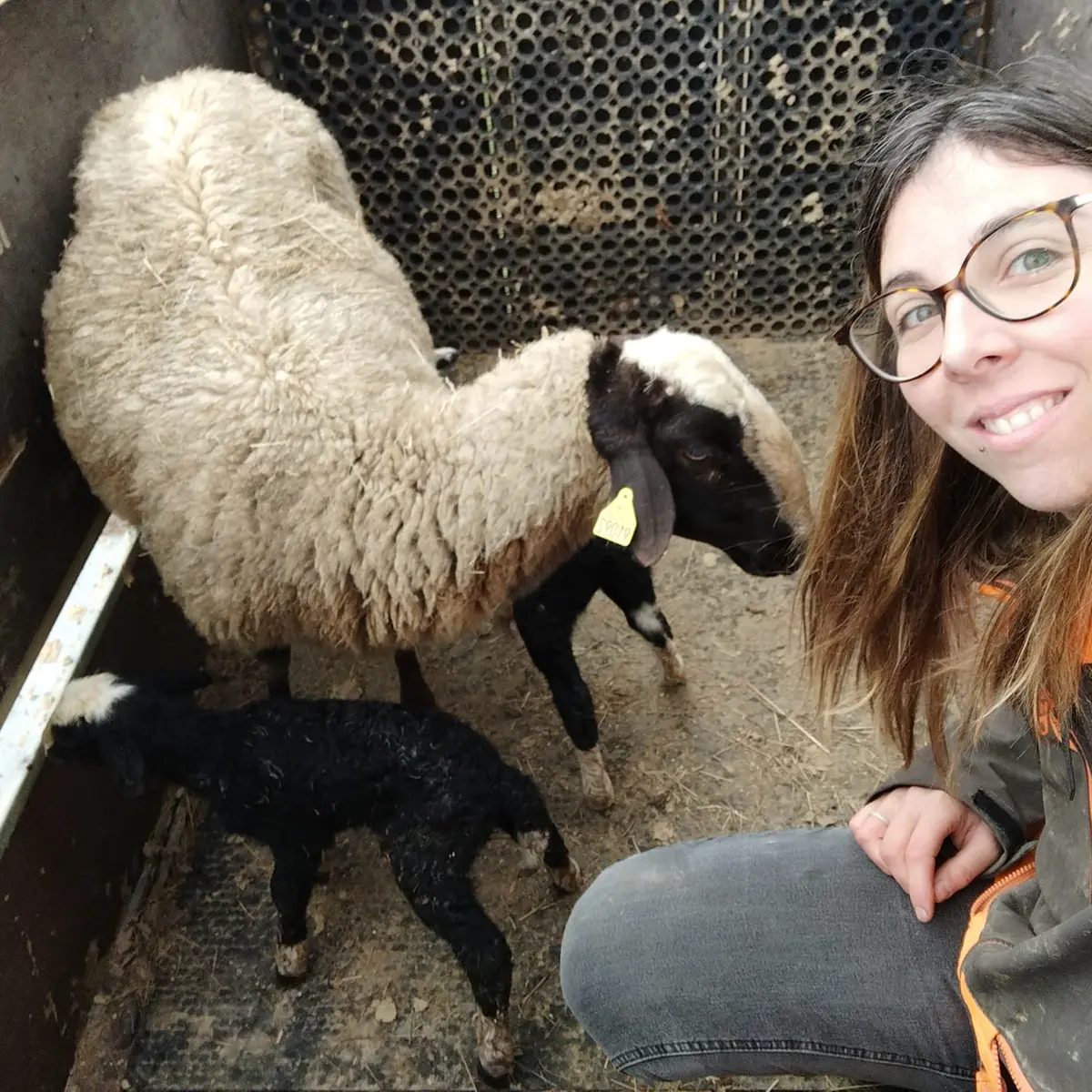 Ferme de Montardy Wendy
