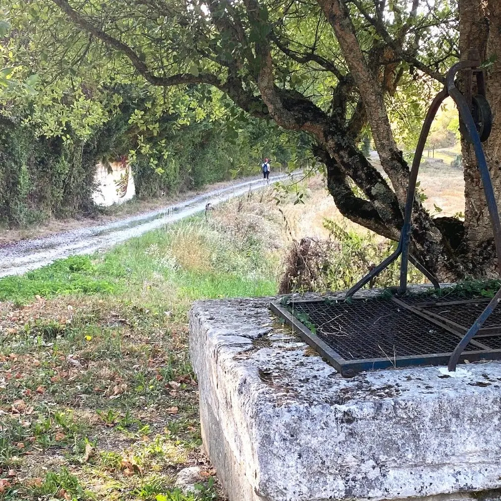 LA CHAPELLE-GONAGUET-Boucle des Brunies-Chemin-Randonneur