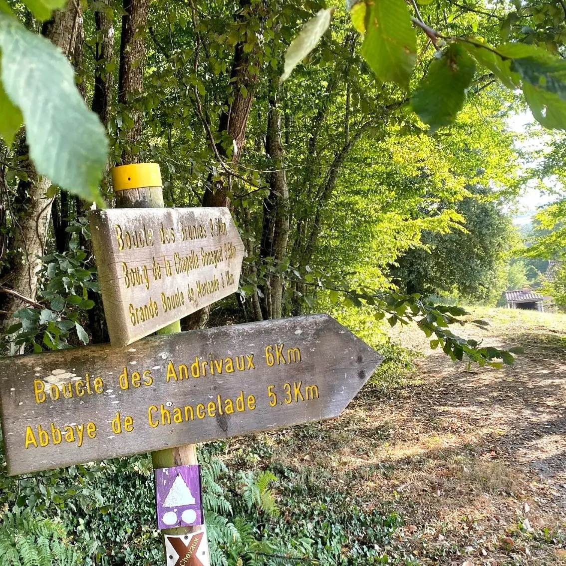 LA CHAPELLE-GONAGUET-Boucle des Brunies-Chemin-signalétique