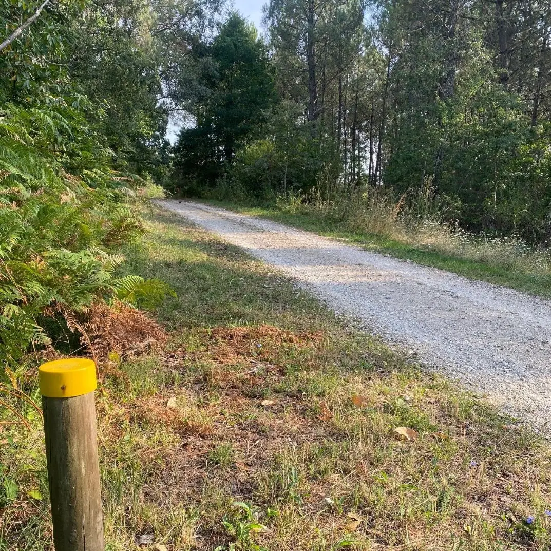 LA DOUZE-Boucle des Versannes-chemin