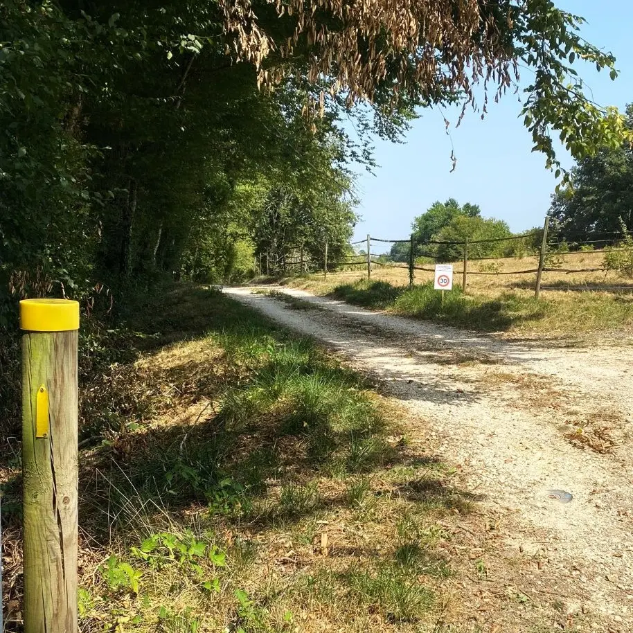 LACROPTE-Boucle du Rontlet-chemin 2