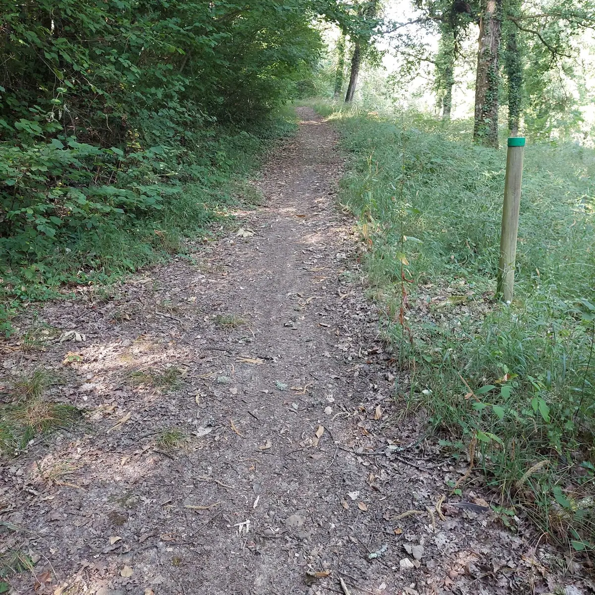 Marsac-Visuel chemin poteau vert