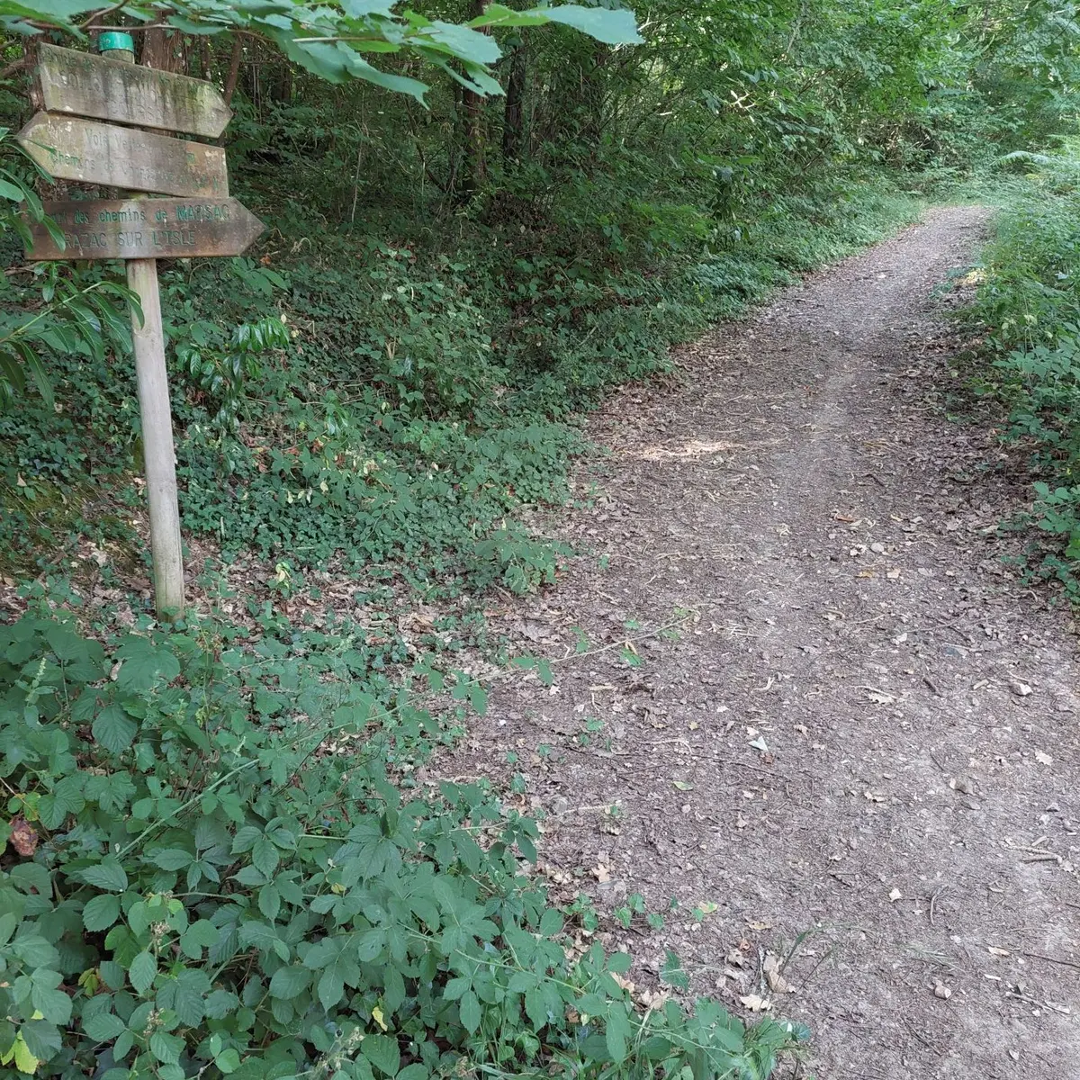 Marsac-Visuel chemin