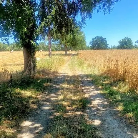 Milhac d'auberoche-Boucle des sangliers-Chemin