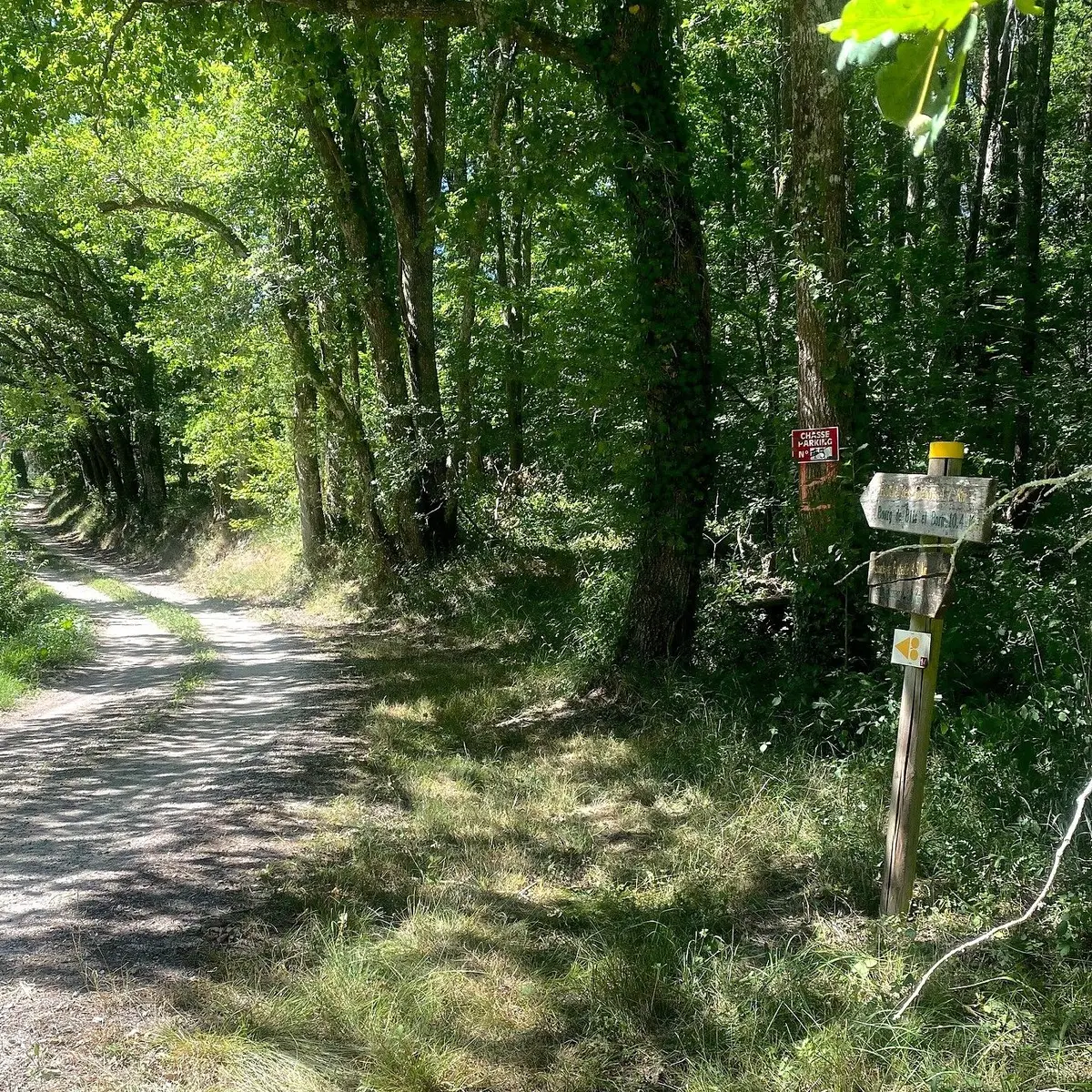SAINT ANTOINE D'AUBEROCHE-Boucle des Picadis-Chemin